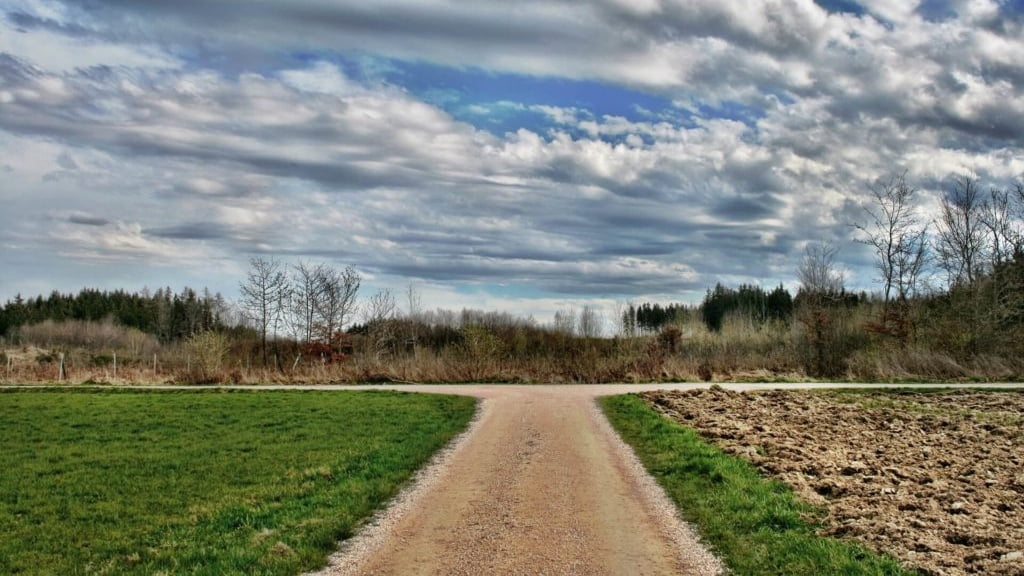 estrada com dois caminhos