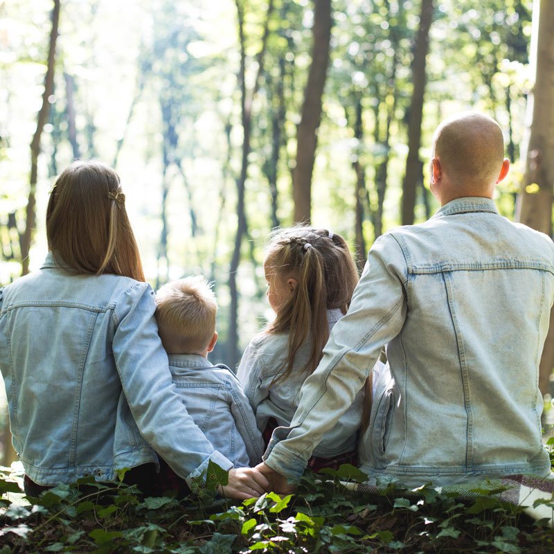 família de costas na floresta aprecia a tranquilidade