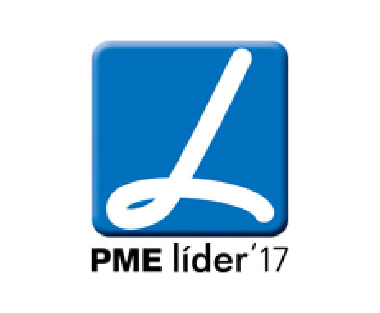 pme-lider-17